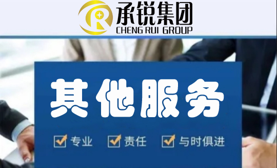其他服务